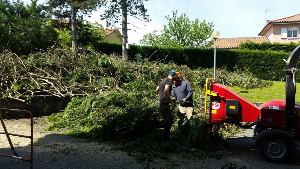 Abattage et élagage des arbres dans le bassin Genevois.