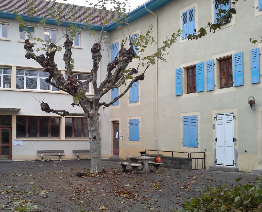 Élagage de sécurité ou d’entretien des arbres à Chênex