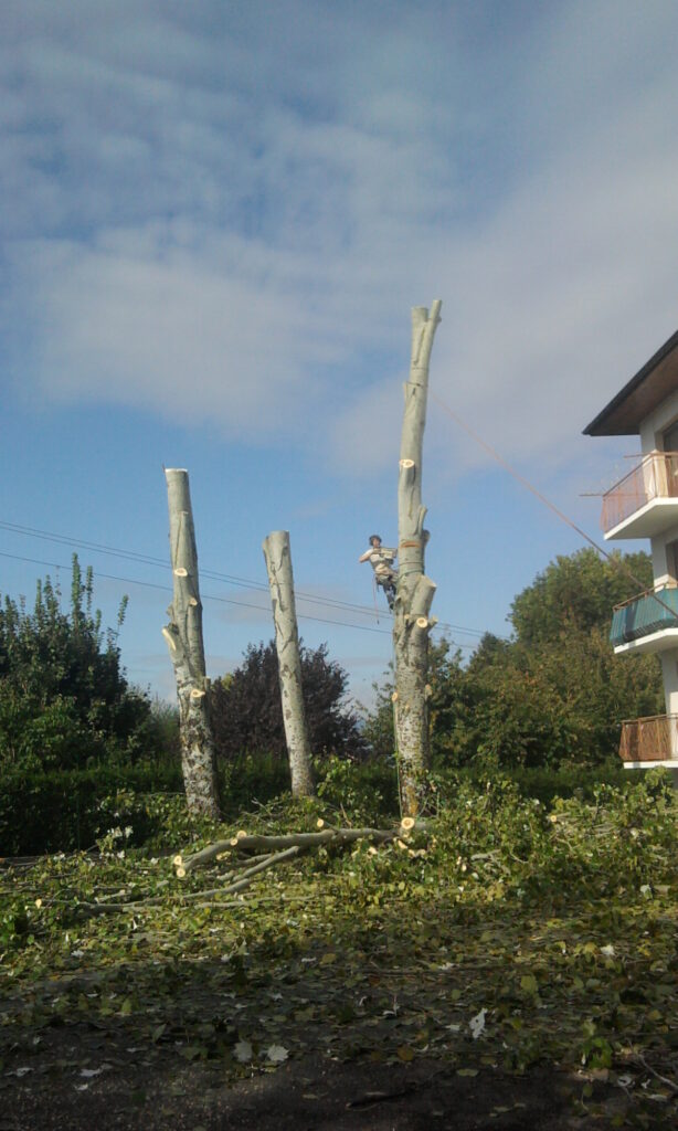 Photo0137